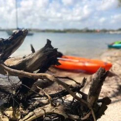 Pelican Sport Pulse 100X With Paddle Kayak 21 Pelican Sport Pulse 100X With Paddle Kayak -Pelican Sport Store KOS10P102 00 LS4